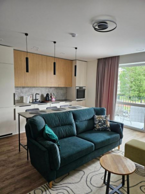 Milda's apartment Kaunas